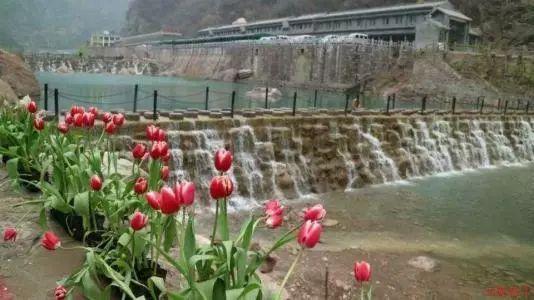 糖尿病不能吃水果?这几种低糖水果,反而对稳定血糖有帮助!